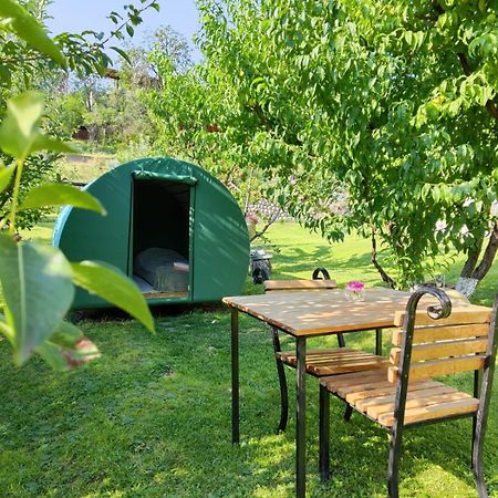 Nataly Campsite Yeghegnadzor Exterior foto
