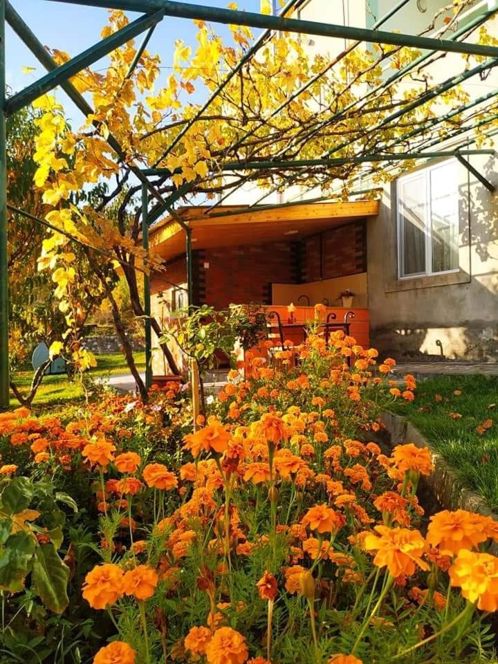 Nataly Campsite Yeghegnadzor Exterior foto